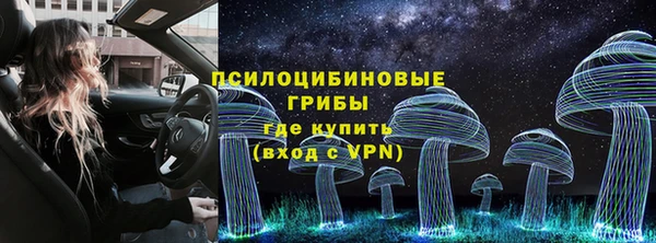 apvp Балахна