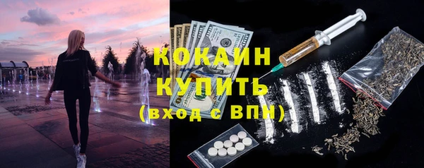 прущие грибы Балабаново