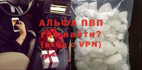 прущие грибы Балабаново