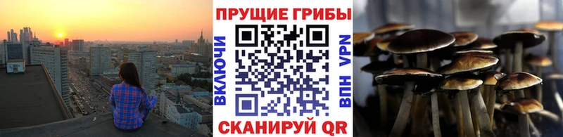 Галлюциногенные грибы Cubensis  продажа наркотиков  Белый 